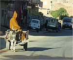 Maroc / Zagora