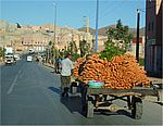 Maroc / Zagora